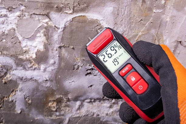 Best Mold Removal Company Near Me  in Brookshire, TX