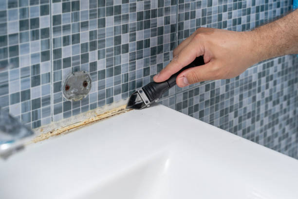Best Black Mold Removal  in Brookshire, TX
