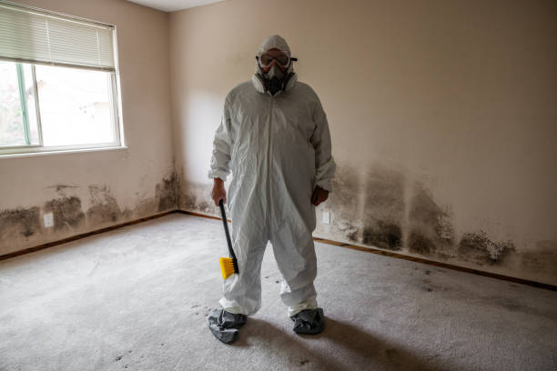 Professional Mold Removal in Brookshire, TX