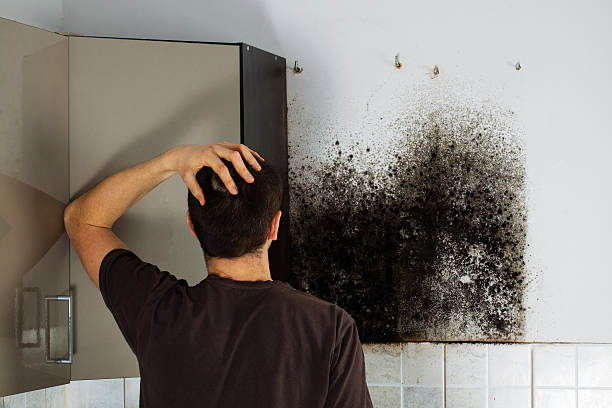 Best Residential Mold Removal  in Brookshire, TX